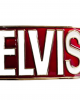 Belt Buckle - Elvis Red Rectangle