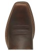 Ariat - Round Up Square Toe - Powder Brown 